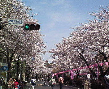 ０７．１２京都 013.jpg