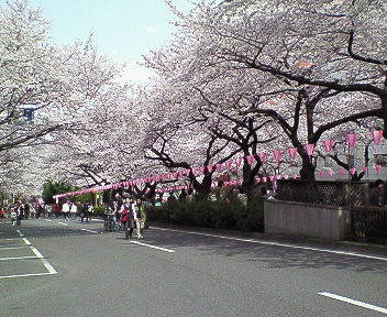 ０７．１２京都 015.jpg