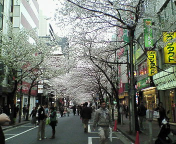 ０７．１２京都 022.jpg