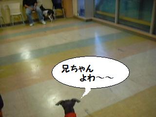 さらが助けてあげようかな～