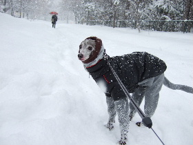 吹雪です！