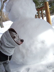 崩れかけてる雪だるま