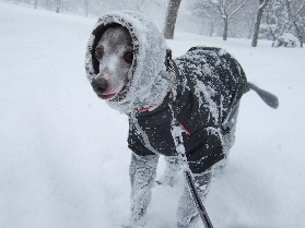 雪まみれ～～