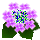 がく紫陽花Ｐ