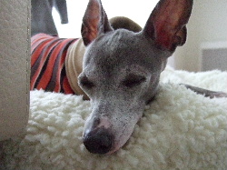 ムニャムニャ・・・