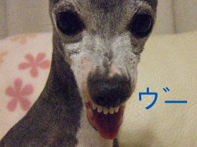 怒ってます！
