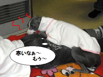 超寒がりＣＯＣＯ