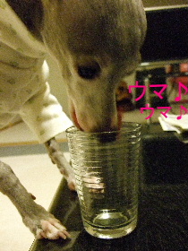 野菜ジュース