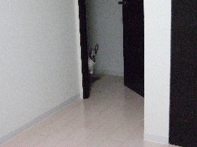 家政婦は見たっ！