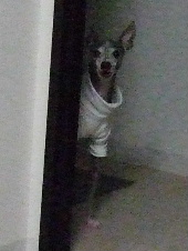 いい加減にしなさーい！