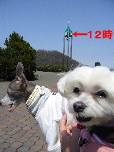 2006_0503画像0019.JPG