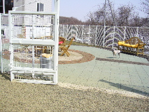 2006_0415画像0002.JPG