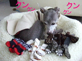 あれ？臭わない？？？