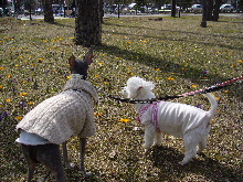 2006_0415画像0034.JPG