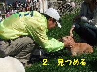 見つめられても大丈夫！