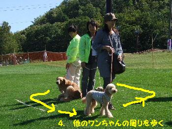 他のワンちゃんとも大丈夫！