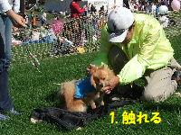 触れられても大丈夫！