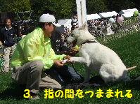 指の間をつままれても大丈夫！