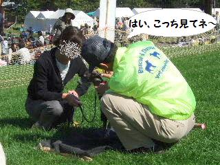 オドオド・・・