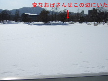 雪の下は一面池です。