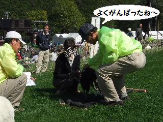 オドオド・・・