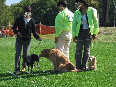 どよ～ん・・・