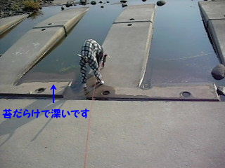 懲りないヤツ・・・