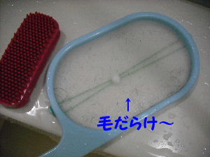 抜け毛・・・
