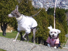 2006_0503画像0006.JPG