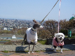 2006_0503画像0007.JPG