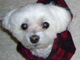 2006_0121画像0009.JPG