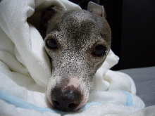 2006_0129画像0004.JPG