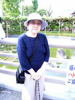 ウチのトド子　藤の花