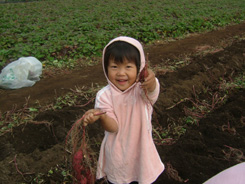 imohori