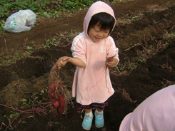 imohori2