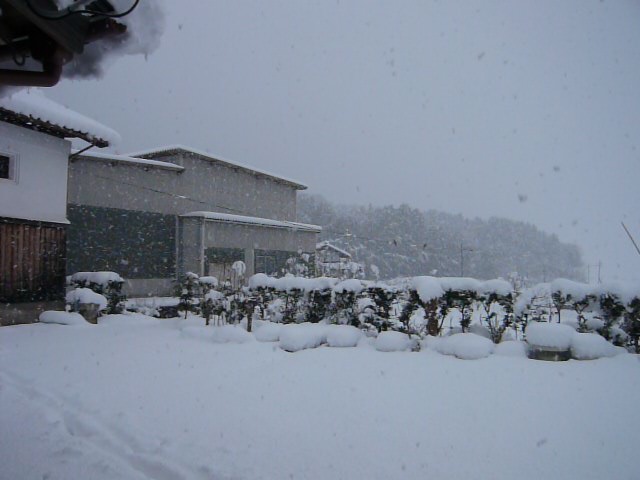 ２００８年正月丹後の雪