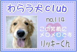 わらう犬club1