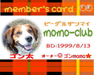 ☆momoclub会員証☆