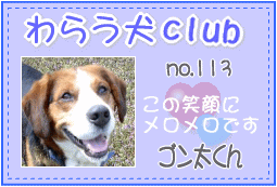 ☆わらう犬club会員証☆