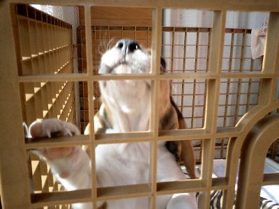 早く出してよ～♪