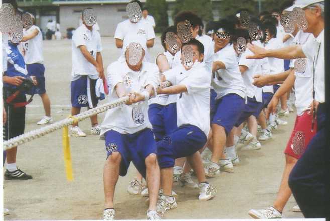 img263.jpg