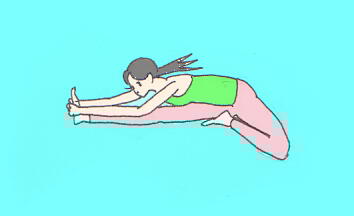 ジャーヌシルシアサナ１