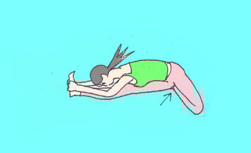 ジャーヌシルシアサナ２