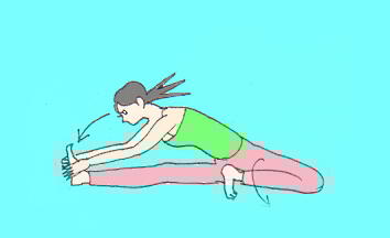 ジャーヌシルシアサナ３