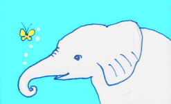 小象とちょうちょ