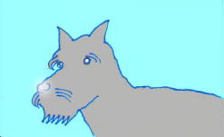 スコテッシュテリア