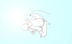 バッタコーナアーサナ