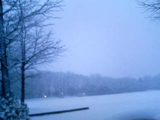 外ヨガの場所　冬