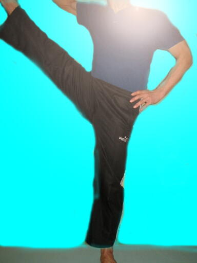 ウッテッタ・ハスタパーダングシュタアサナ