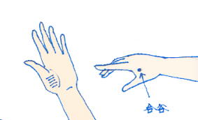 手のひらツボ